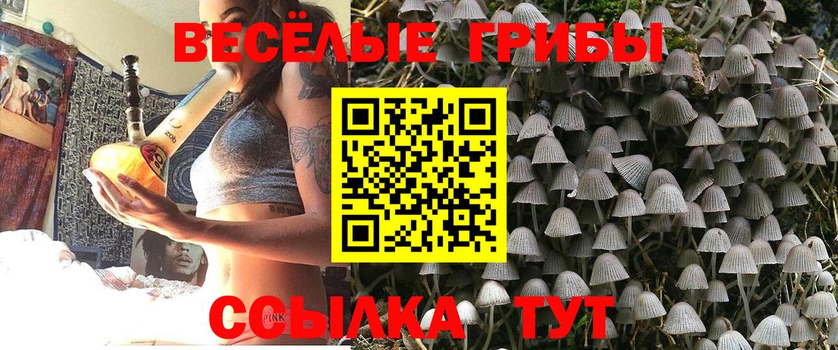Галлюциногенные грибы Psilocybine cubensis Оренбург