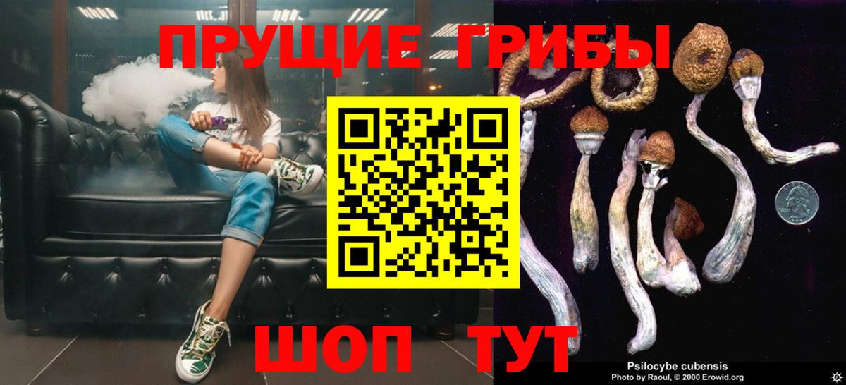 Оренбург  Галлюциногенные грибы прущие грибы  Вход с VPN  Псилоцибиновые грибы ЛСД 