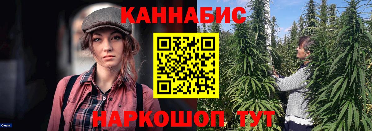 Бошки Шишки планчик Оренбург